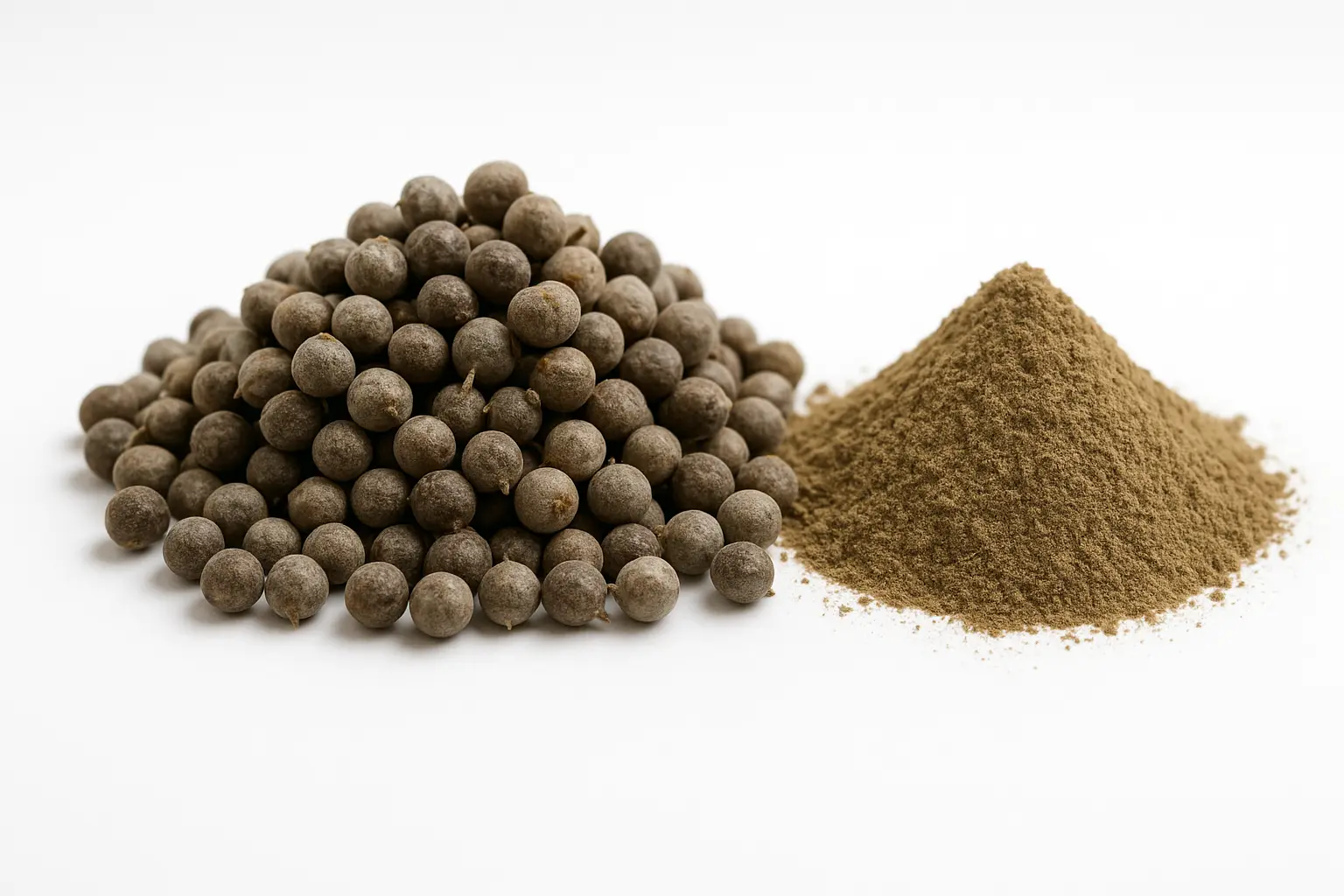 Chaste Tree Berry Extract